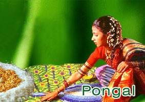 Pongal