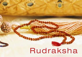 Rudraksha