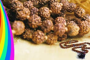 Rudraksha Beads