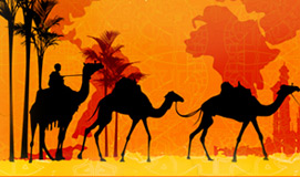 Rajasthan Tours